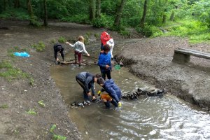 07: Mission Nature : Entre Terre et Eau (9-13 ans)