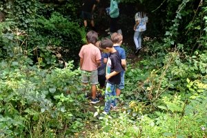 08: Les Chevaliers de la Nature (5-10 ans)