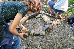 09: Apprentis Naturalistes : Forêts et Rivières en Éveil (9-13 ans)