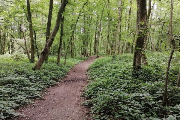 Balade Nature (à partir de 7 ans)