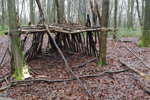 Cabanes en forêt (à partir de 8 ans)