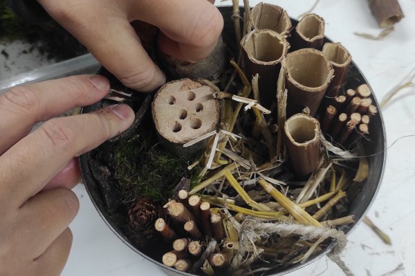 Chez vous: Fabrication d’hôtels à insectes en récup’