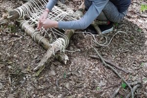 du 11-08 au 15-08-2025: Les artistes de la nature