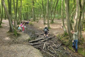 du 18-08 au 22-08-2025: Aventuriers de la Forêt