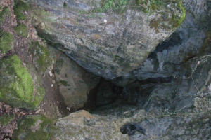 Entre grotte des Sarrazins et site des Templiers