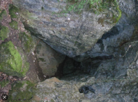 EntreGrotteDesSarrazinsEtSiteDesTemplier_grotte-des-sarrazins.png