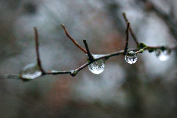 Le cycle de l'eau 