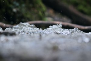 REPORTEE L’eau au Bois du Prince