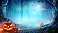 halloweendansleboisduprince_halloween-essai.png