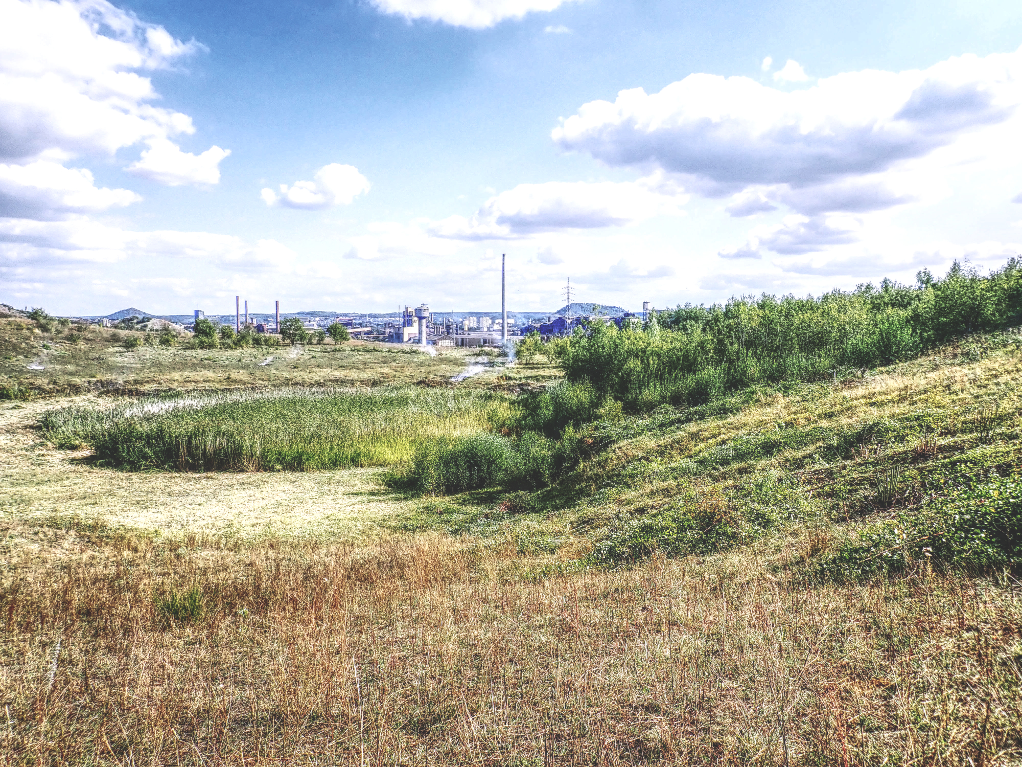 image bayemont.jpg (4.4MB)